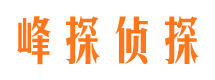 策勒寻人公司